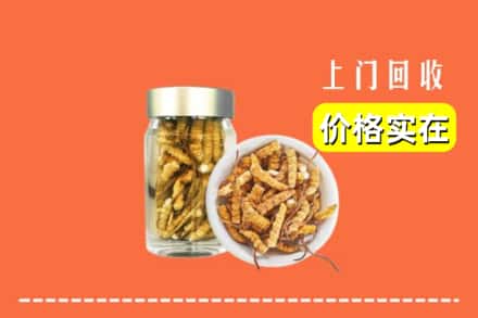 诚信求购:椒江区高价回收散虫草