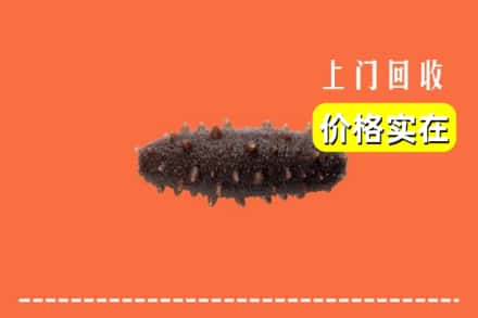 诚信求购:椒江区高价回收海参
