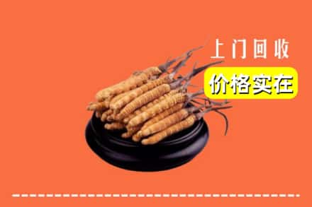 诚信求购:椒江区高价回收冬虫夏草